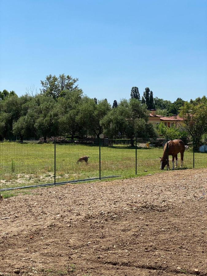 ホテル I Broletti Del Garda Pacengo Di Lazise エクステリア 写真